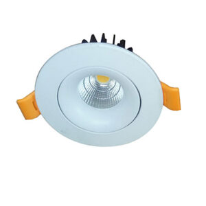 LED COB Light manufacturer