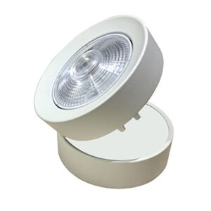 LED COB Light manufacturer