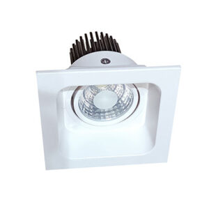 LED COB Light manufacturer