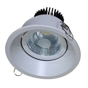 LED COB Light manufacturer